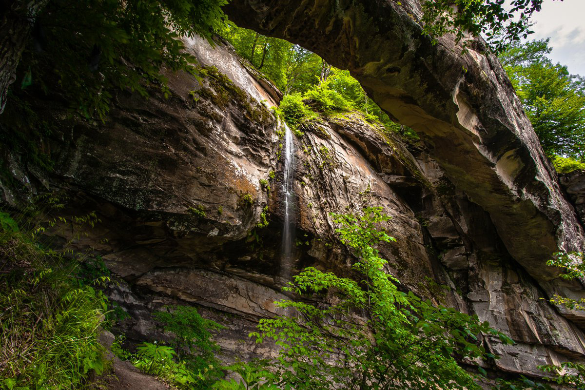 Хучнинский водопад и Самурский лес — забронировать экскурсию онлайн |  CronTravel