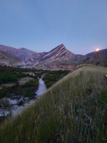 Домик в абрикосовом саду Чалда